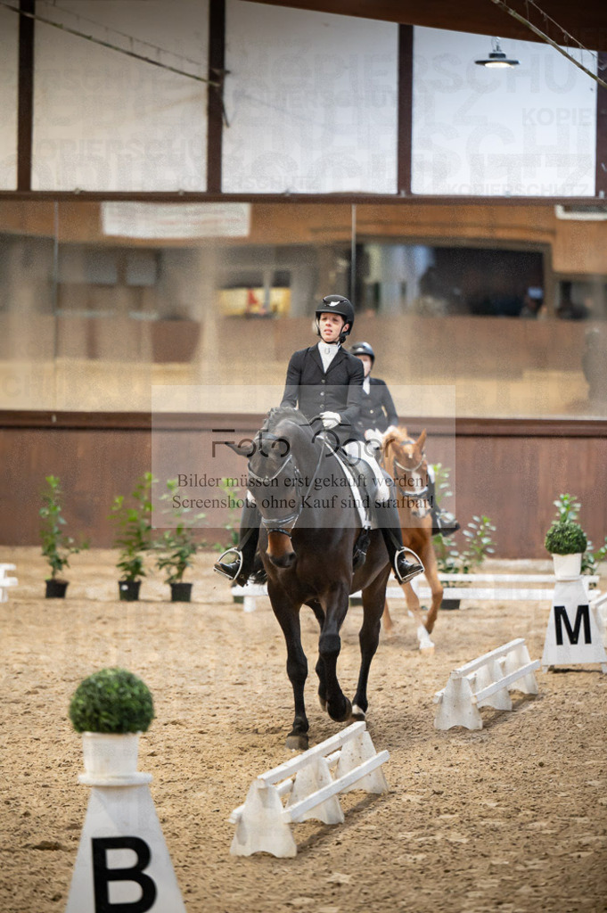Hallenreittunier Voxtrup 2023 | Entdecke hochwertige Reitturnierfotos von Foto Oger. Professionell, emotional und authentisch – jetzt Lieblingsmomente im Shop bestellen.Deutschlandweite Turnierfotografie. - Realisiert mit Pictrs.com