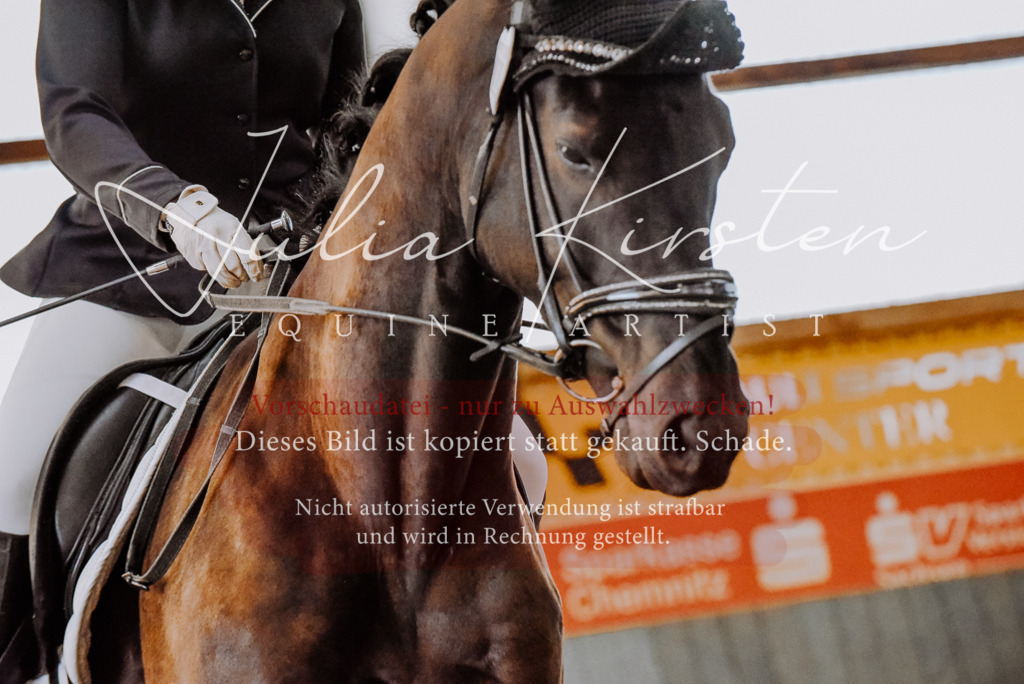 DSC_7651 | Pferde- und Turnierfotografie in Westsachsen. Pferdeportraits, Auftragszeichnungen und intuitive Kunst.