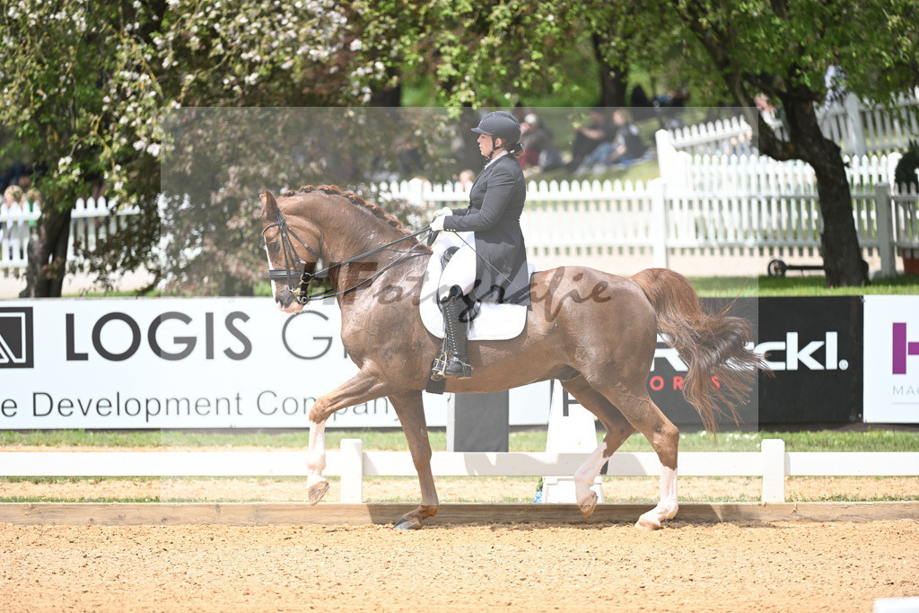 Fastner_St. Fernando_11233702 | hf-fotografie - Realisiert mit Pictrs.com