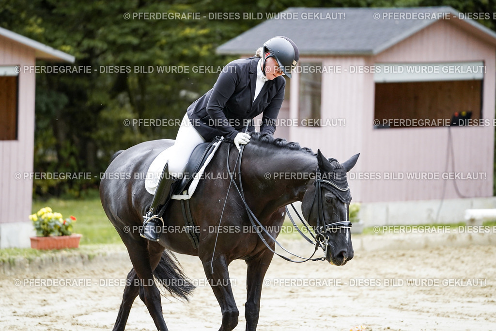 DSC09477 | Pferdegrafie