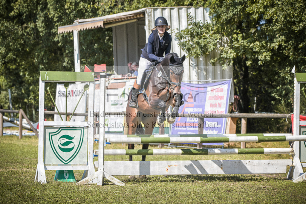 DOS_0356 | Entdecke hochwertige Reitturnierfotos von Foto Oger. Professionell, emotional und authentisch – jetzt Lieblingsmomente im Shop bestellen.Deutschlandweite Turnierfotografie. - Realisiert mit Pictrs.com