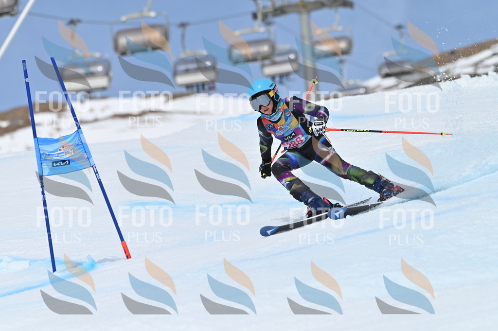 BGV_2568 | holidayphoto