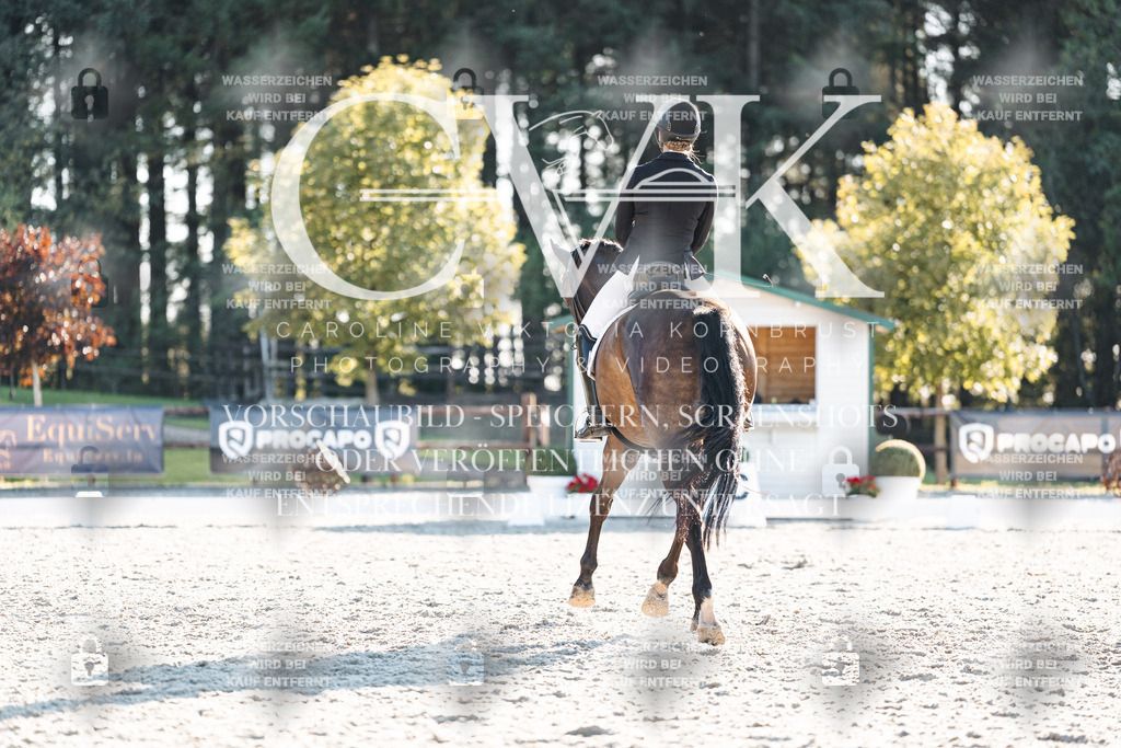 CK907162 | Turnierfotografie Pferdefotografie Trier Rheinland-Pfalz Pferdesport Reitsport Tierfotografie Sportfotografie Pferdevideo Pferdevideografie Equestrianvideography equestrianphotography  - Realisiert mit Pictrs.com