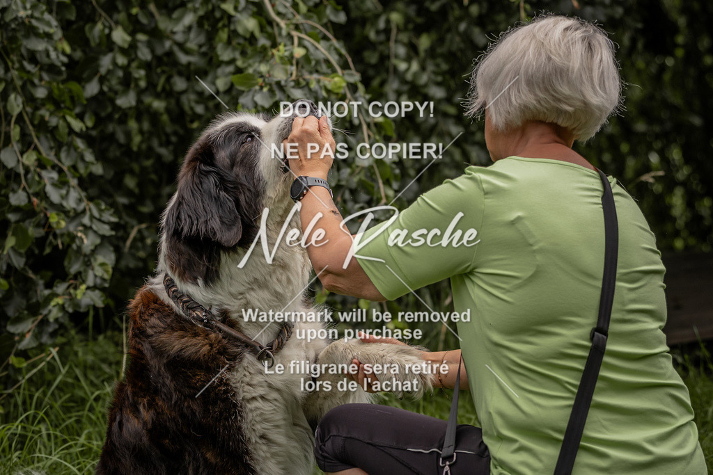 nelerasche_DoN_99 | nelerasche