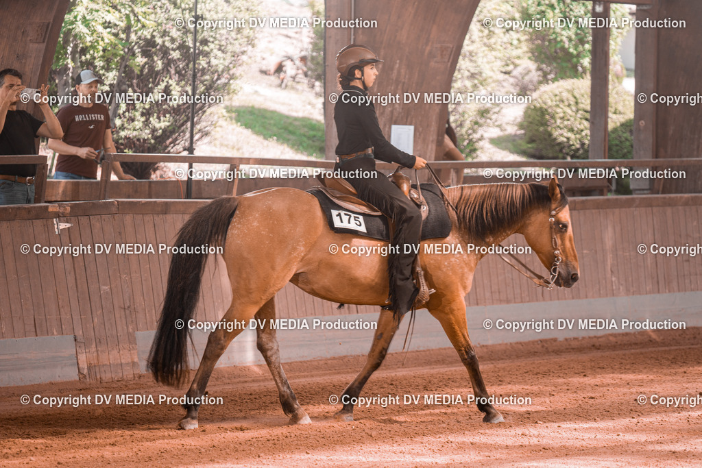 NE300255 | dv-media-shop - Realisiert mit Pictrs.com