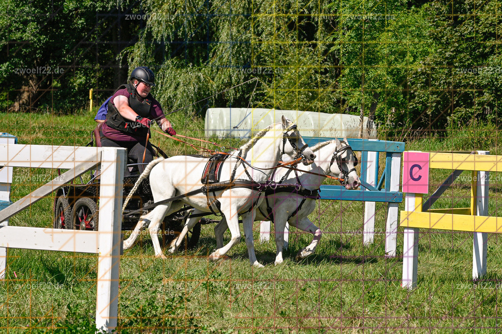 30 Jahre RFV Pulsnitz e.V., Pulsnitz am 09.08.2026 | 30Jahre Reit- und Fahrverein Pulsnitz e.V., Pulsnitz am 08.08.2026Zur 28. breitensportlichen Veranstaltung des RFV Pulsnitz e.V. fanden verschiedene Wettbewerbe in nahezu allen Disziplinen des Pferdesport statt.- Geländefahr-Wettbewerb - Realisiert mit Pictrs.com