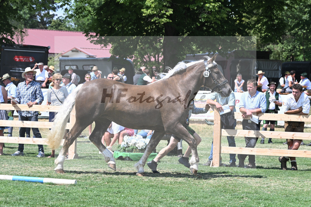 Kat-Nr. 62 Ophira_Steinle_20231015 | hf-fotografie - Realisiert mit Pictrs.com