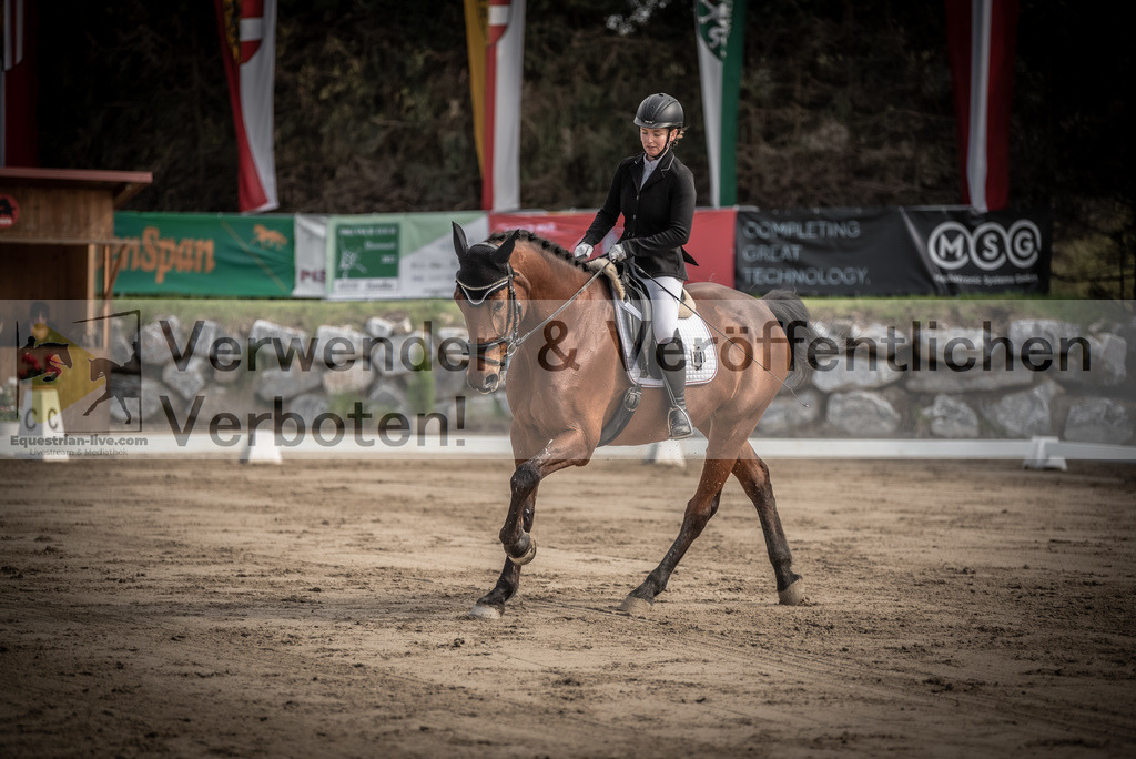 DSC_8542 | equestrian-live-com