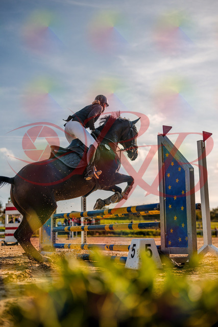 2026_10_03_Siefer-Hof_171836_Z63_22204475 | Professionelle Reitsport-, Turnier- und Eventfotografie von Robert Broda. Galerien mit ausgewählten und bearbeiteten Bildern direkt online ansehen und bestellen.