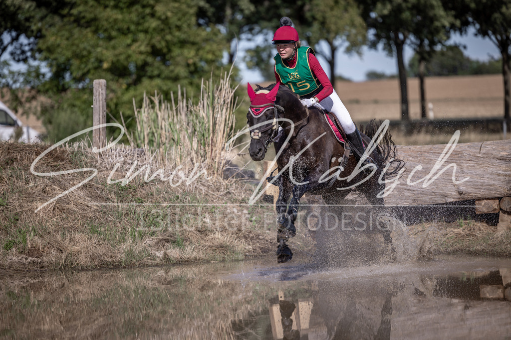 20260906-_3LI6265 | Tierfotografie Pferde, Hunde, Katzen, Haustiere.
Turnierfotografie Reitturniere, Reiten, Springreiten, Dressur in Hanau, dem Main-Kinzig-Kreis und dem Rhein-Main- Gebiet um Frankfurt
