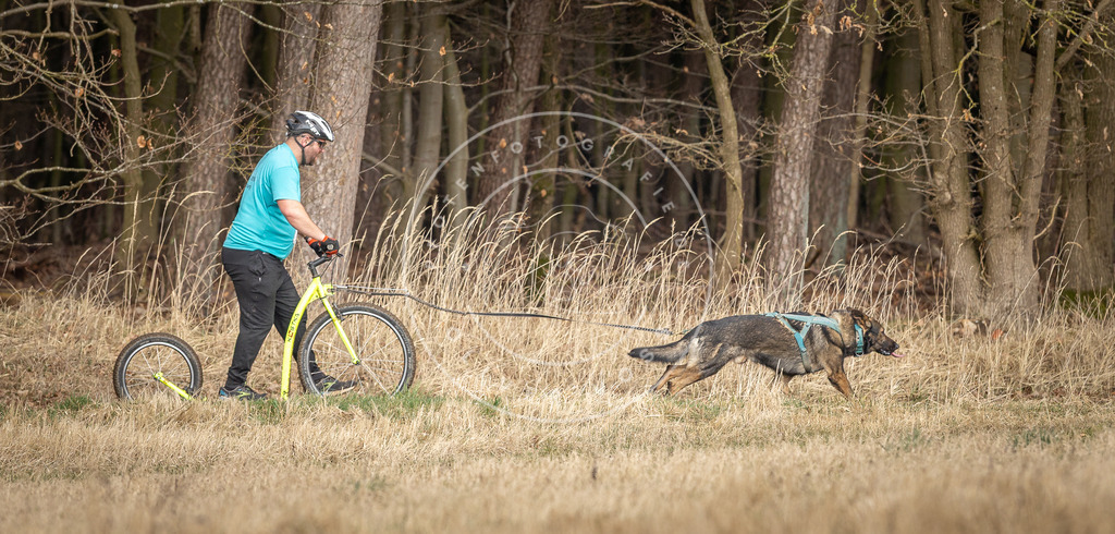 DV3A4862 | Hundefotografie, Tierfotograf, Pfotenfotografie, Fotoshooting Hund, Hunde Portrait, Hundesport, Hundeportraits, Heideshooting, Hunde, Sportfotograf, Hundefotograf, Turnierhundsport, THS,  - Realisiert mit Pictrs.com