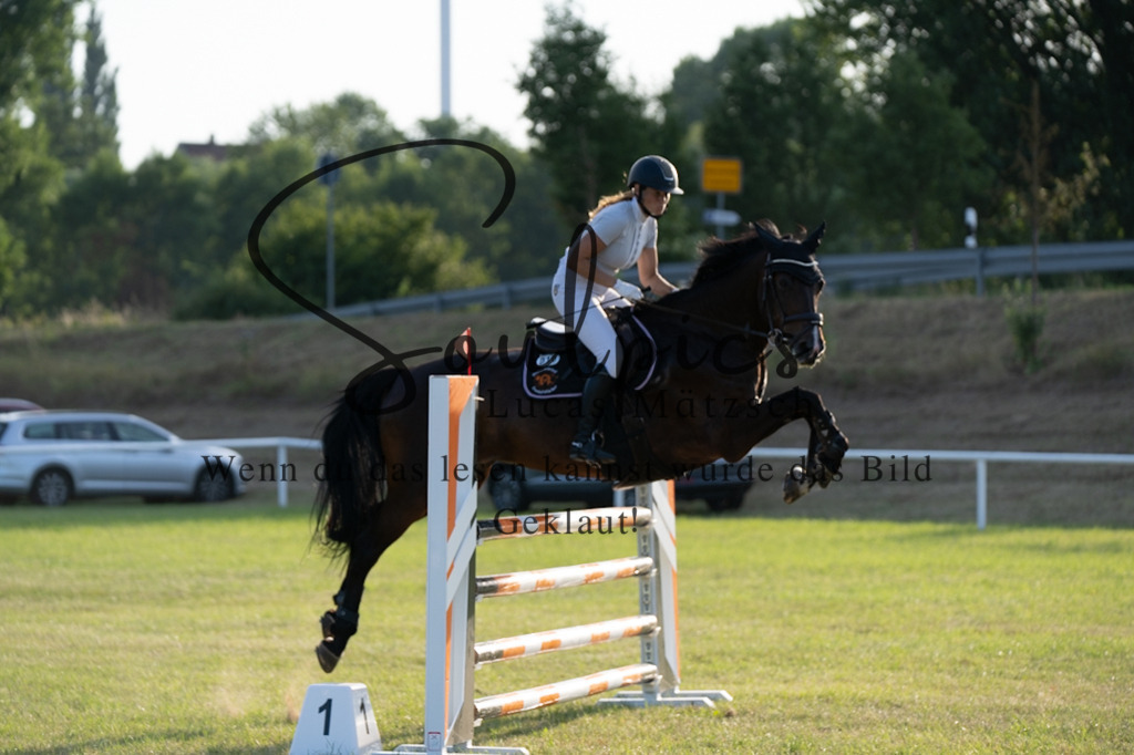 A7V01054 | Pferdefotograf