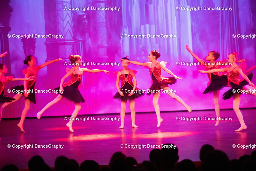 GPHY2162 | DanceGraphy - Realisiert mit Pictrs.com