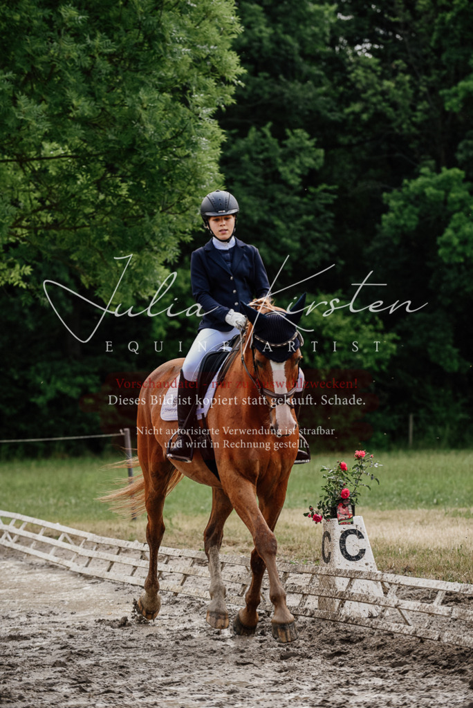 DSC_9971 | Pferde- und Turnierfotografie in Westsachsen. Pferdeportraits, Auftragszeichnungen und intuitive Kunst.
