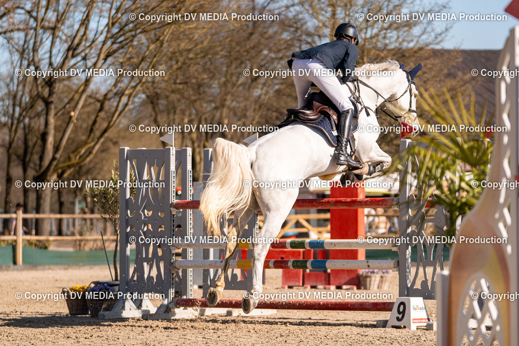 Kranichstein Tag 2-1011 | dv-media-shop - Realisiert mit Pictrs.com