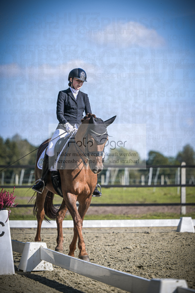 DOS_2952 | Entdecke hochwertige Reitturnierfotos von Foto Oger. Professionell, emotional und authentisch – jetzt Lieblingsmomente im Shop bestellen.Deutschlandweite Turnierfotografie. - Realisiert mit Pictrs.com