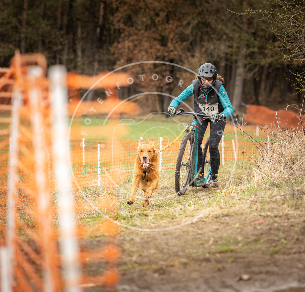 DV3A1574 | Hundefotografie, Tierfotograf, Pfotenfotografie, Fotoshooting Hund, Hunde Portrait, Hundesport, Hundeportraits, Heideshooting, Hunde, Sportfotograf, Hundefotograf, Turnierhundsport, THS,  - Realisiert mit Pictrs.com