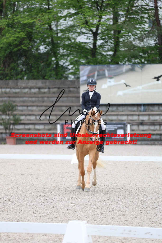 A40A7042 | lmwpictures - Realisiert mit Pictrs.com