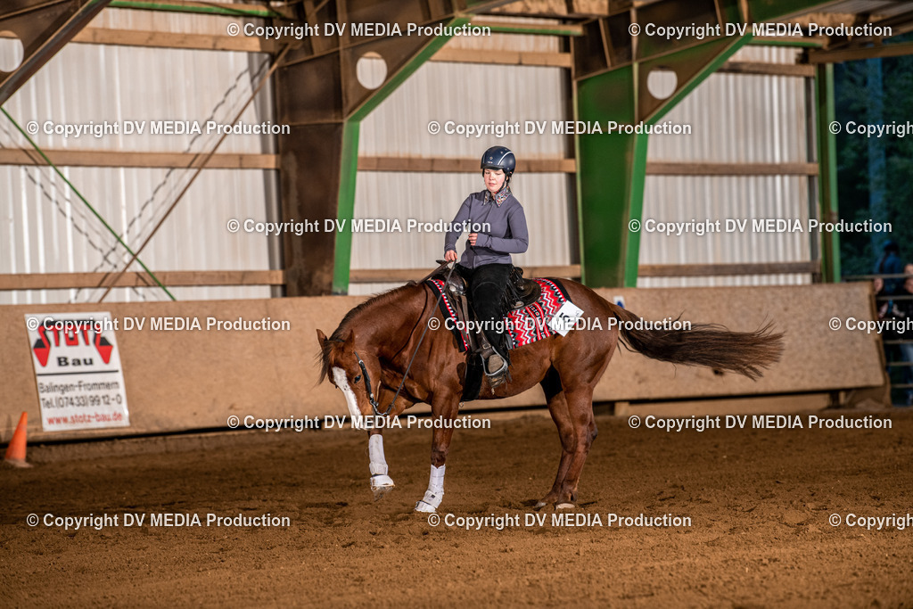 Balingen Tag 2-1445 | dv-media-shop - Realisiert mit Pictrs.com