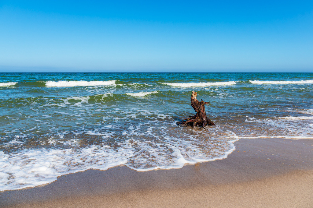 Baumstamm und Wellen am Weststrand auf dem Fischland-Darß | Baumstamm und Wellen am Weststrand auf dem Fischland-Darß.