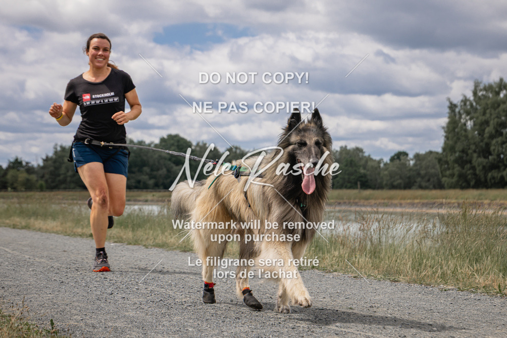 nelerasche_BuHu2026_SaCC1100-1200_217 | nelerasche
