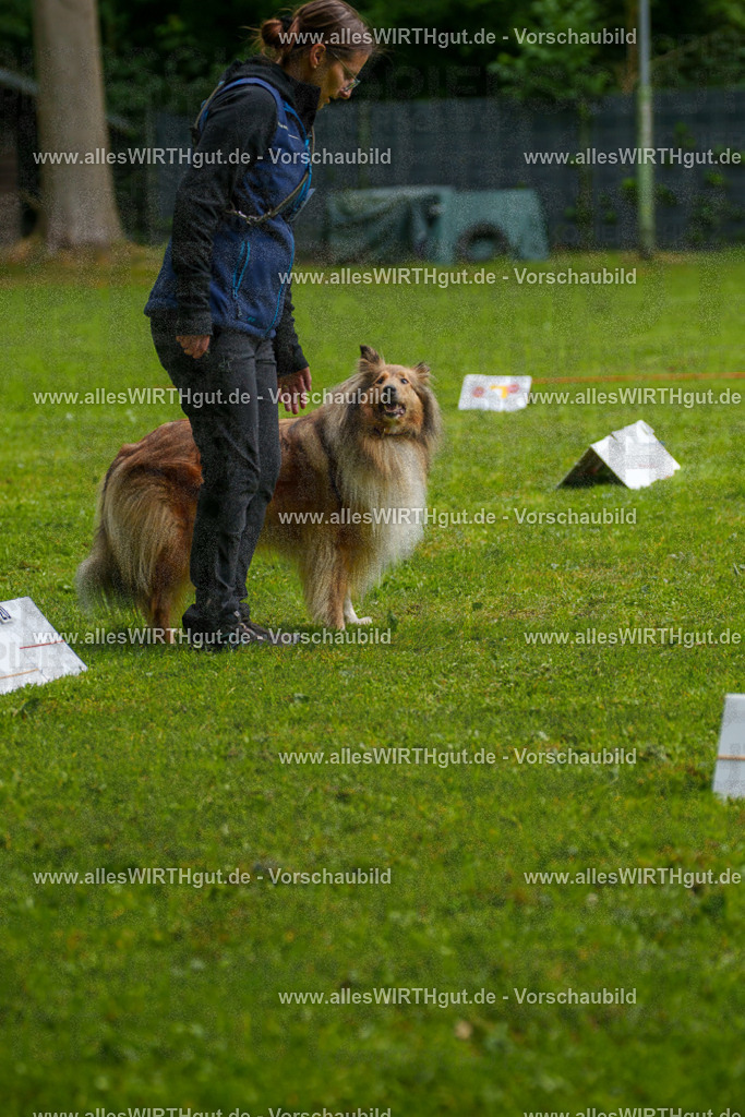 @allesWIRTHgut_Tierfotografie - www.allesWIRTHgut.de - 7R503065 | Professionelle Tierfotografie in Mönchengladbach von Daniel Wirth (allesWIRTHgut). Liebevolle & natürliche Bilder von Hunden & Katzen für unvergessliche Erinnerungen.