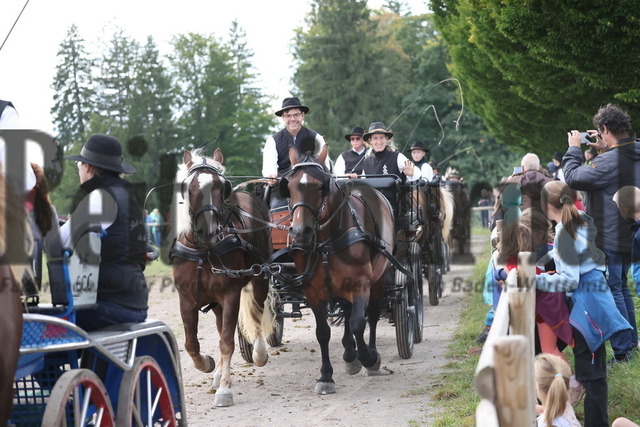Sankt_Märgen_Rossfest_2025_Schauprogramm (288) | Alle Fotos der Reiterjournal Fotografin Doris Matthaes im Reiterjournal Online-Fotoshop. - Realisiert mit Pictrs.com