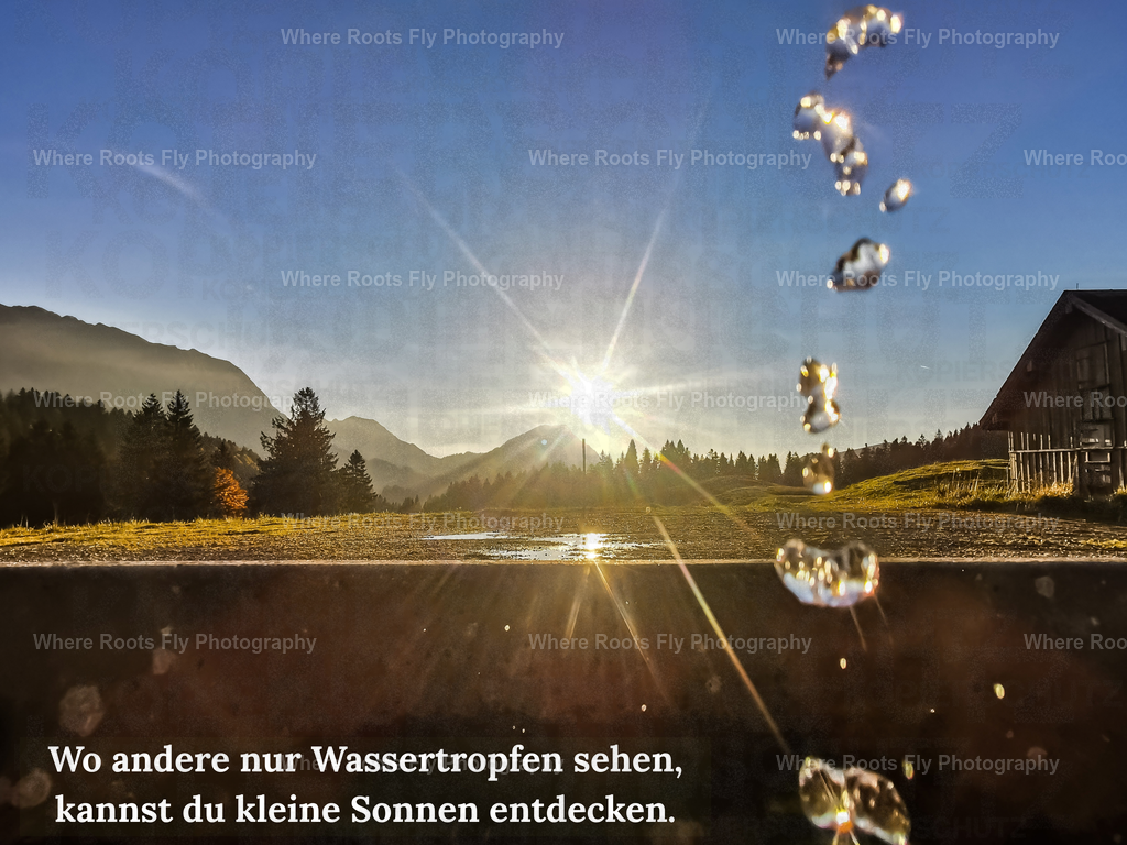 Affirmationskarten - 1 | mtkfoto_ - Realisiert mit Pictrs.com