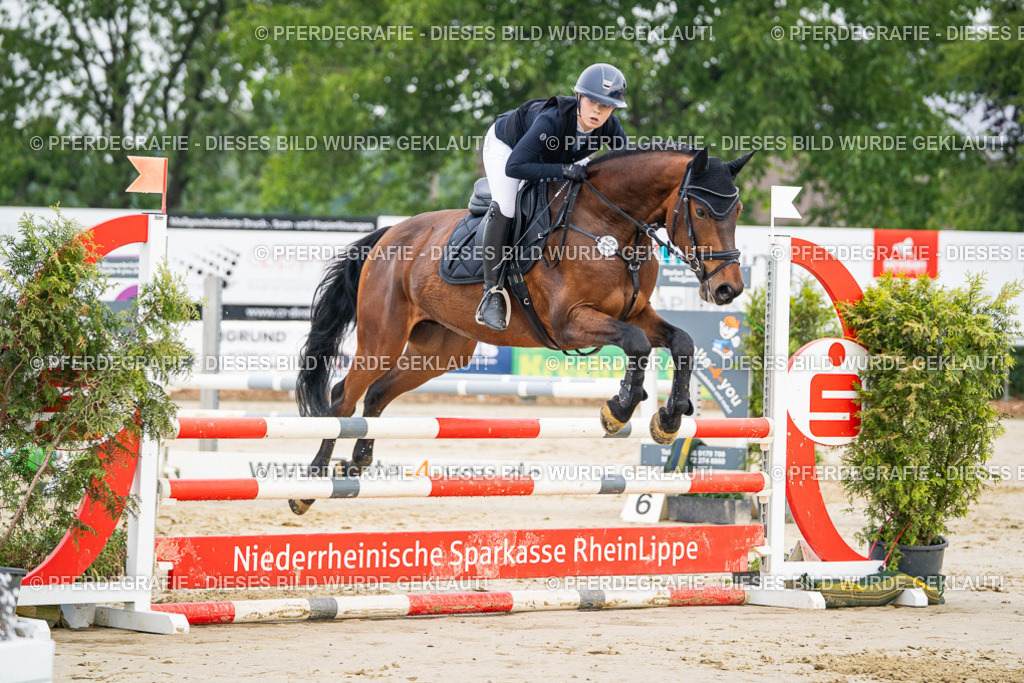 DSC08448 | Pferdegrafie