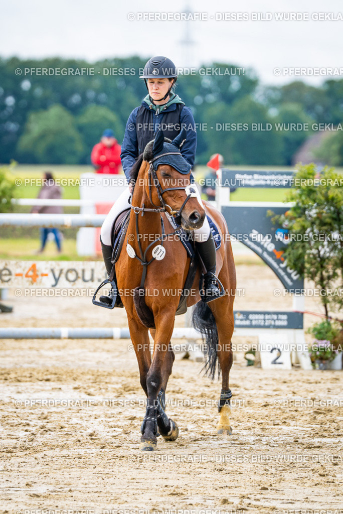 DSC03941 | Pferdegrafie