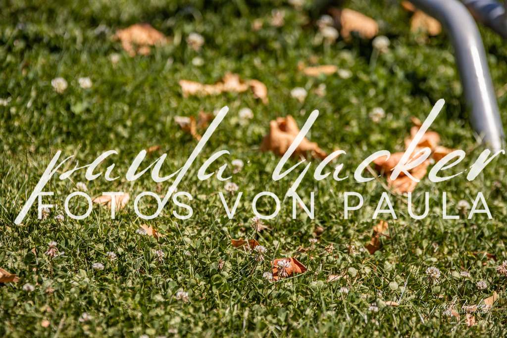 IMG_0545 | Erleben Sie dynamische Sport- und emotionale Tierfotografie in Süddeutschland mit Fotos von Paula. Spezialisiert auf Pferde- und Hundefotografie sowie Sportevents. Kontaktieren Sie mich für einzigartige und ausdrucksstarke Bilder Ihrer besonderen Momente. - Realisiert mit Pictrs.com