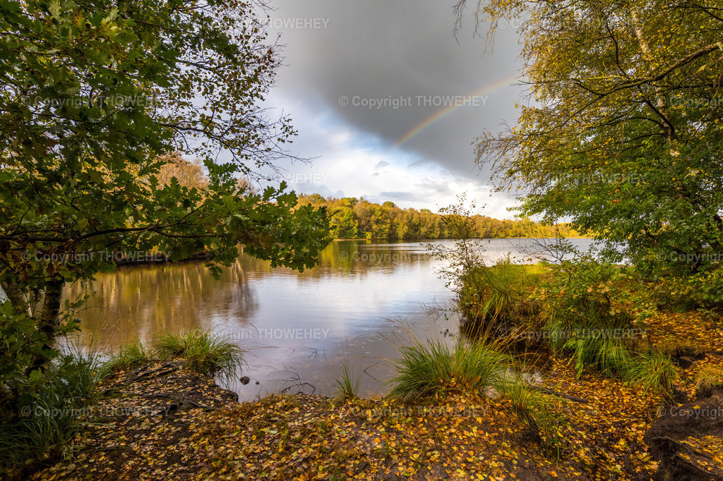 P1006839 | thowehey - Realisiert mit Pictrs.com