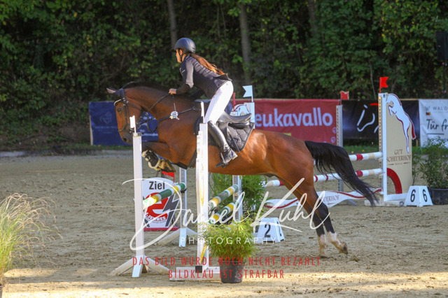 DKP42858 | Turniersportfotografie; Pferdefotografie; Dressurfotografie