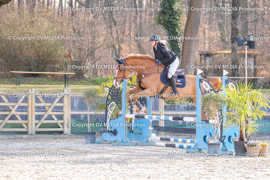 Kranichstein Tag 1-071 | dv-media-shop - Realisiert mit Pictrs.com