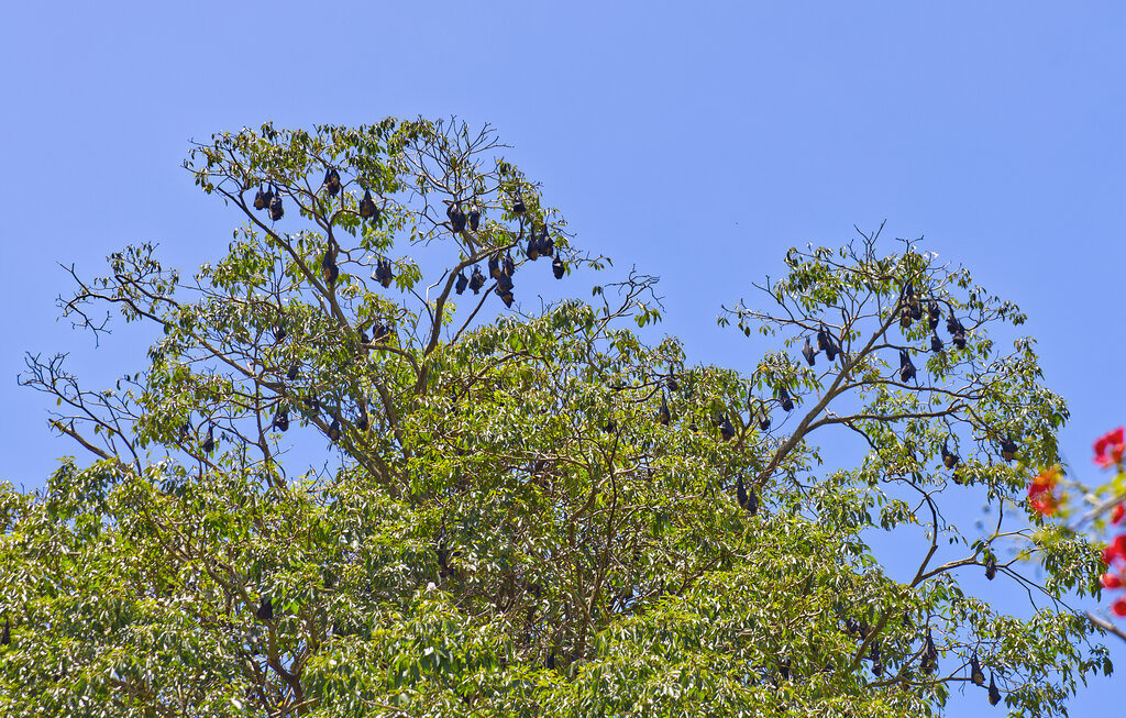 1H5A4392a | ansichtssache