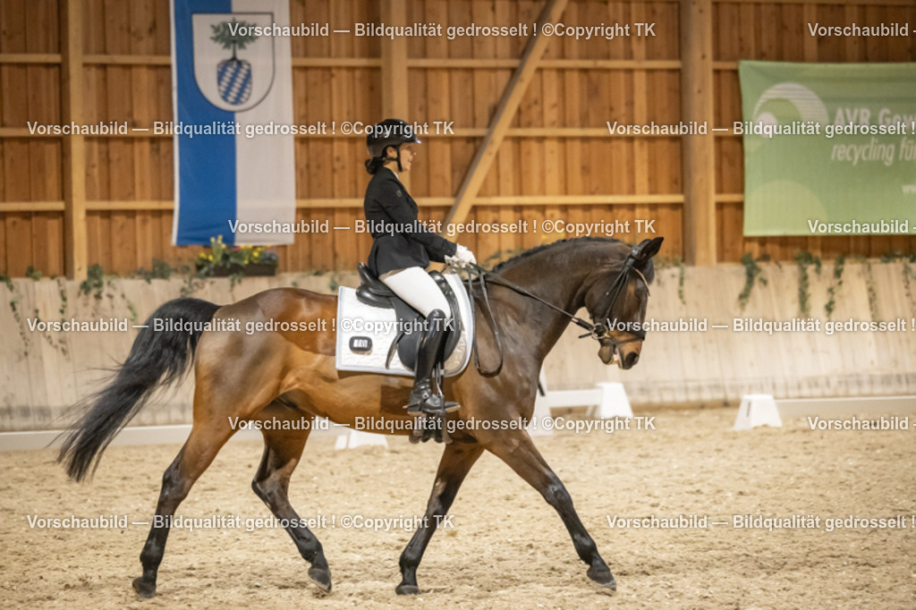 _D5A0729 | Emotionale Pferde- & People-Fotografie rund um Heidelberg, Leimen & Umgebung. Natürliche Fotos von Pferd, Mensch & Familie. Jetzt Termin sichern!