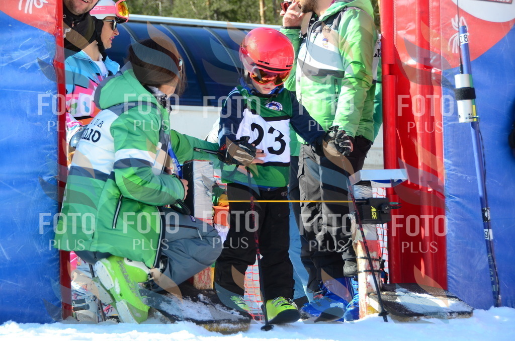 C4773 | holidayphoto