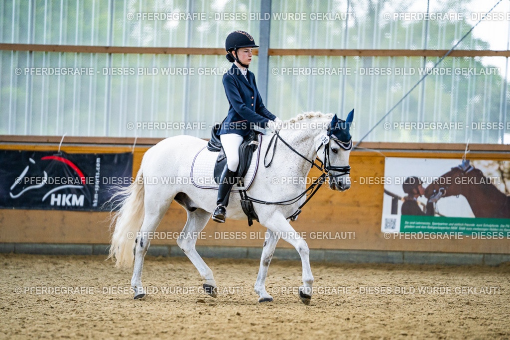 DSC04832 | Pferdegrafie