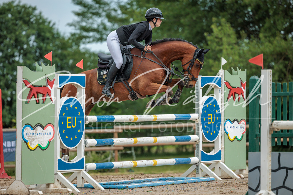 20260530-_3LI2402 | Tierfotografie Pferde, Hunde, Katzen, Haustiere.
Turnierfotografie Reitturniere, Reiten, Springreiten, Dressur in Hanau, dem Main-Kinzig-Kreis und dem Rhein-Main- Gebiet um Frankfurt