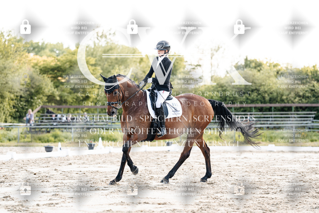 CK909688 | Turnierfotografie Pferdefotografie Trier Rheinland-Pfalz Pferdesport Reitsport Tierfotografie Sportfotografie Pferdevideo Pferdevideografie Equestrianvideography equestrianphotography  - Realisiert mit Pictrs.com