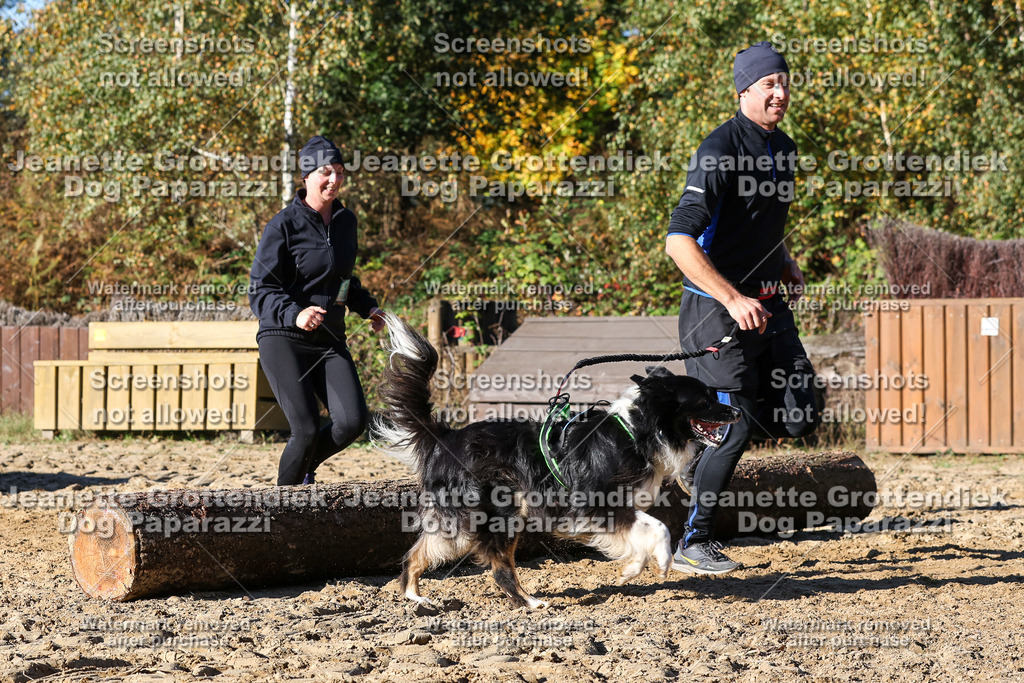 Dog Paparazzi - Strongdog 10-25-2106 | Dog Paparazzi Jeanette Grottendiek Fotografie & Videografie - Realisiert mit Pictrs.com