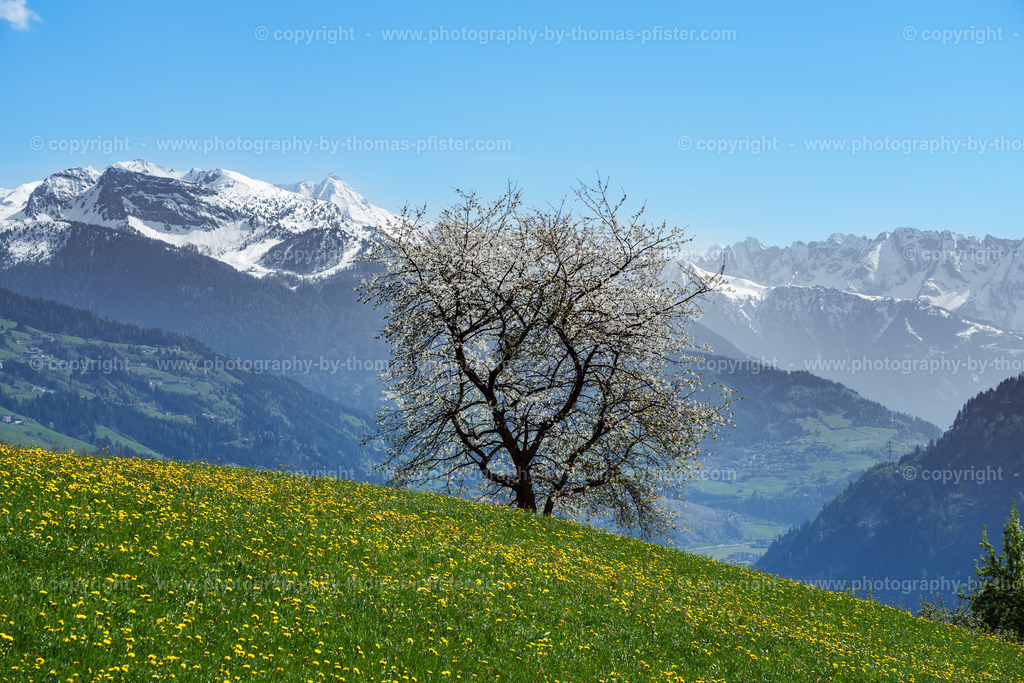 Stummerberg Blick taleinwärts copyright  Thomas Pfister-1 | PHOTOGRAPHY BY THOMAS PFISTER