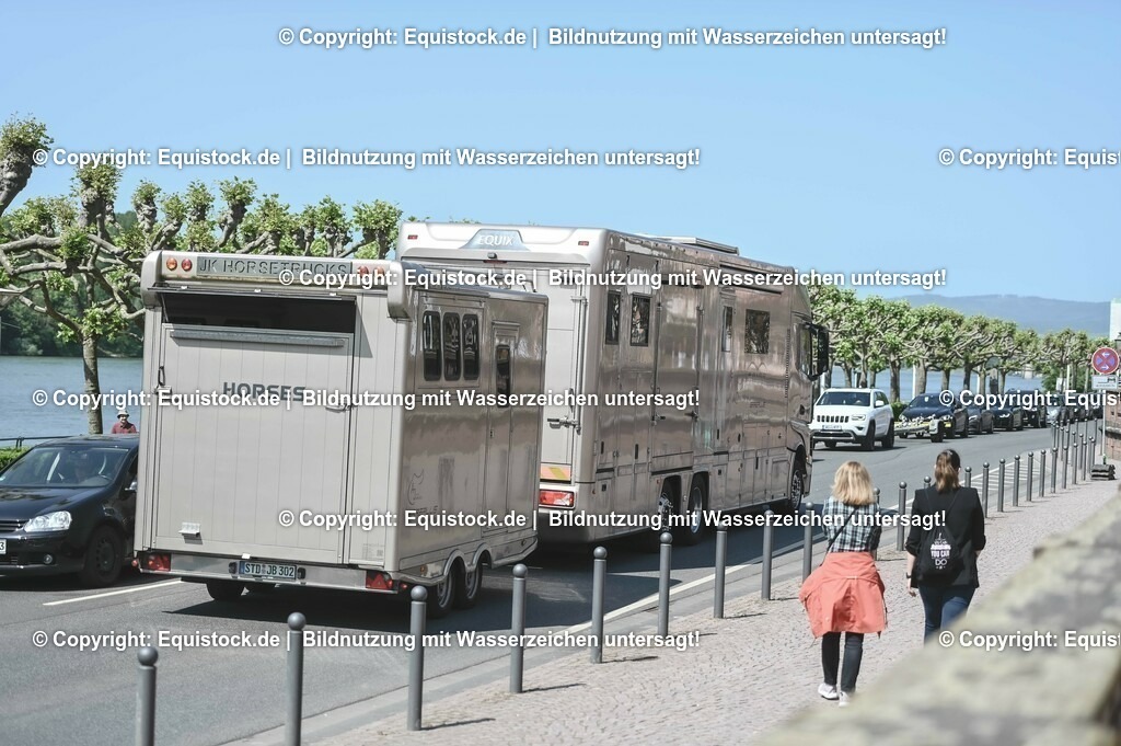 D78_2891 | equistock