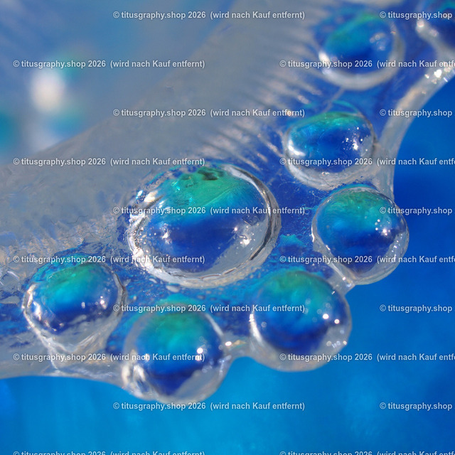 P1018995_edited | Fotokunstarbeit aus der INSTAGRAM-Gallerie auf titusgraphy.eu - Realisiert mit Pictrs.com