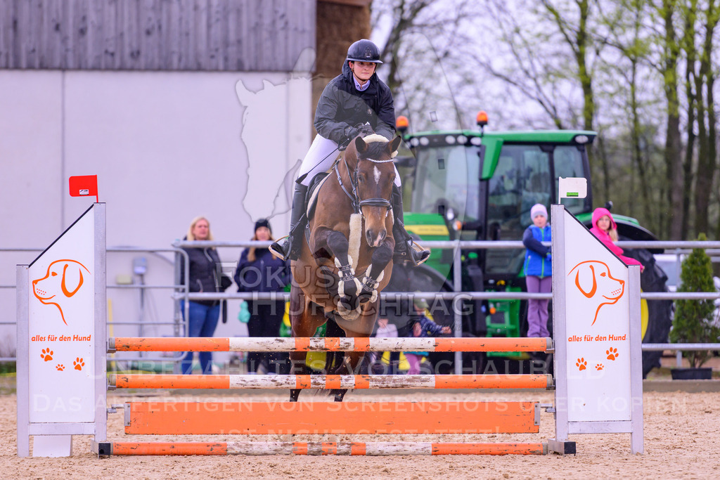 12042026-Mammendorf-Prfg38-0643 | Fokus Hufschlag Fotografie - Realisiert mit Pictrs.com