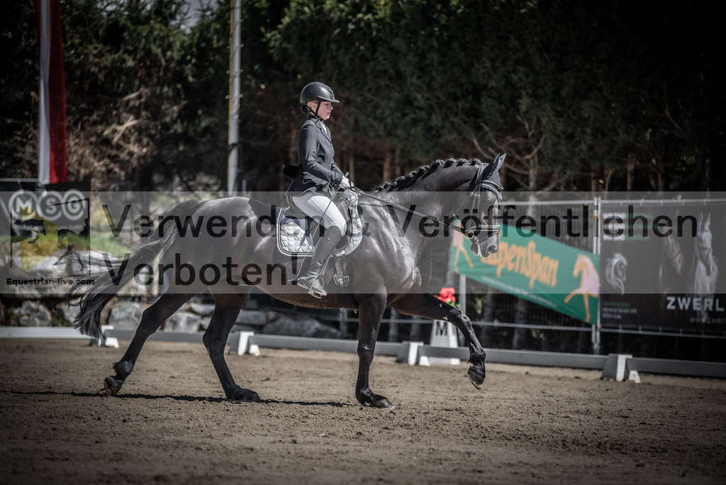 DSC_0185 | equestrian-live-com