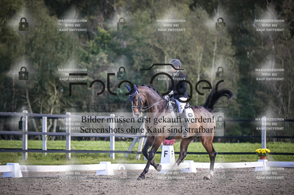 DOS_4789 | Entdecke hochwertige Reitturnierfotos von Foto Oger. Professionell, emotional und authentisch – jetzt Lieblingsmomente im Shop bestellen.Deutschlandweite Turnierfotografie. - Realisiert mit Pictrs.com