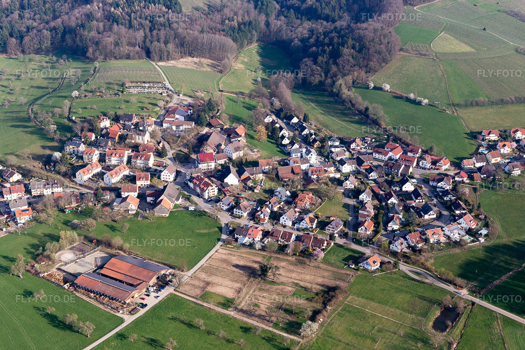 Luftbild: Landwirtschaftliche Nutzflächen und Feldgrenzen umsäumen das Siedlungsgebiet des Dorfes im Ortsteil Vorderheuweiler in Heuweiler im Bundesland Baden-Württemberg in Deutschland. Foto: IMG_113053.jpg vom 22.03.2019 durch Werner Riehm/FLY-FOTO.de