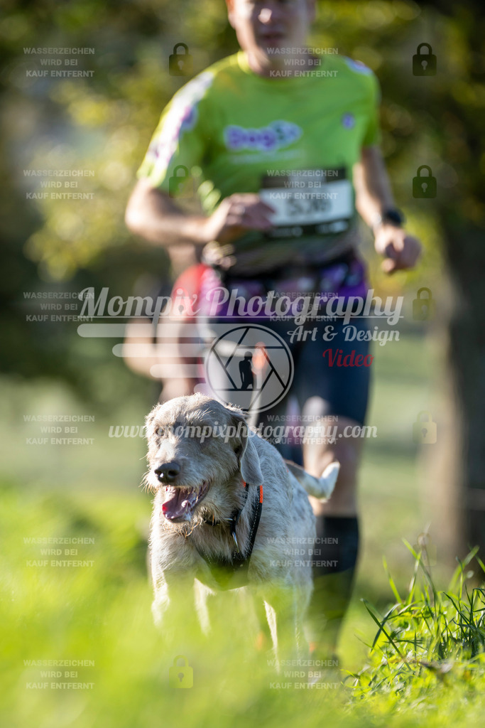 MompixPhotography_20TSB_E3_Run-84 | PayLife