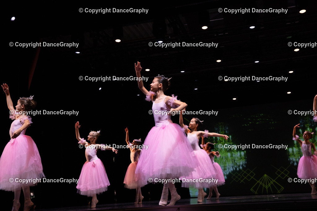 GPHY6723 | DanceGraphy - Realisiert mit Pictrs.com